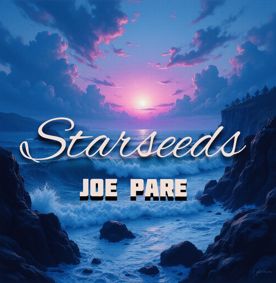 Pochette – Starseeds